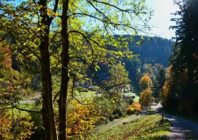 Wanderweg Klösterle-Schleife in Bad Rippoldsau im Schwarzwald