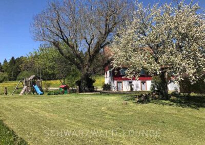 Ferienhaus Brestenberg: Außenansicht auf den Garten mit Spielplatz und großen Bäumen