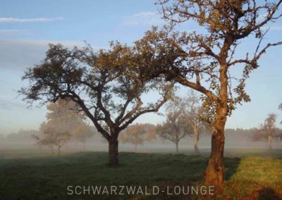 Chalet Lindenbuch: Blick auf Wiese und Bäume im Morgendunst