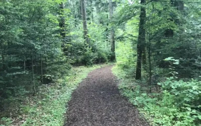 Barfußpark in Hallwangen