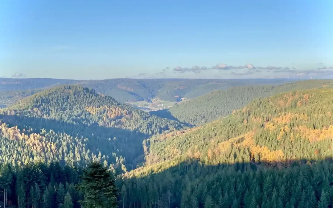 Panoramablick über den Nationalpark Schwarzwald mit Wäldern und Bergen