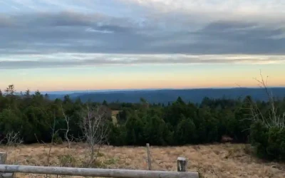 Abenteuer Schwarzwald – spannende Ausflüge mit dem Schwarzwald-Guide