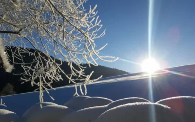 Skifahren, Langlaufen, Rodeln