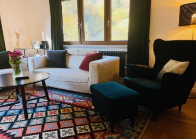 sofa - sessel - wohnzimmer - ferienhaus hof busems - schwarzwald-lounge