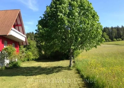 Seitenansicht des roten Ferienhauses Brestenberg neben einer großen Wiese und grünem Baum.