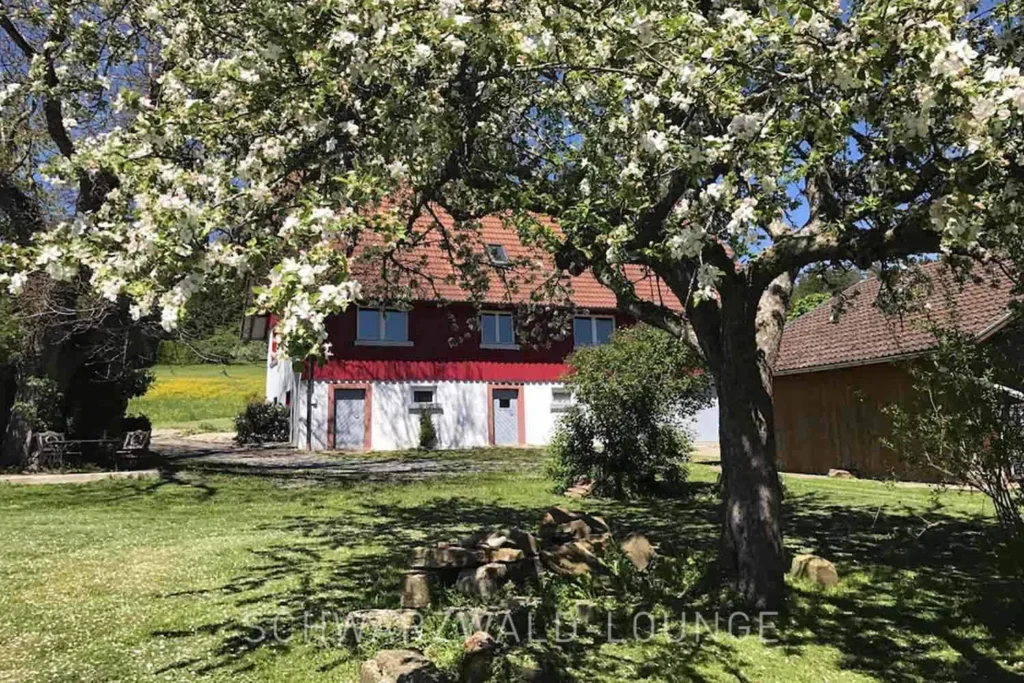 Ferienhaus Brestenberg im Schwarzwald, umgeben von blühenden Apfelbäumen und großer Wiese.