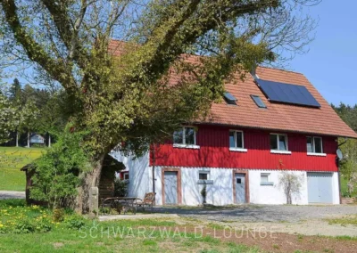 Außenansicht des Ferienhauses Brestenberg mit großem Garten, Spielplatz und altem Baum.