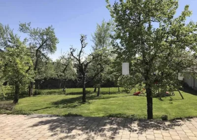Grüner Obstgarten im Chalet Schwarzwald mit alten Bäumen und großzügiger Rasenfläche.