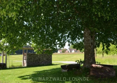 Große Linde mit Schattenplatz und Bank am Ferienhaus Lindenbuch im Chalet Schwarzwald