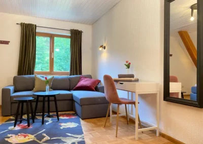 Wohnbereich mit grauem Ecksofa, kleinem Schreibtisch und gemütlicher Einrichtung im Ferienhaus Hof Busems.