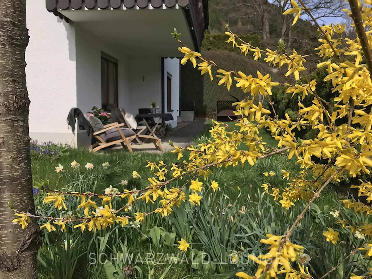 Frühlingsgarten der Ferienwohnung Kinzigtal mit blühenden Sträuchern und Liegestühlen