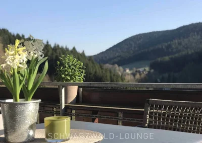 Balkon mit Talblick der Ferienwohnung Bergsee im Schwarzwald, dekoriert mit Blumen und Pflanzen.