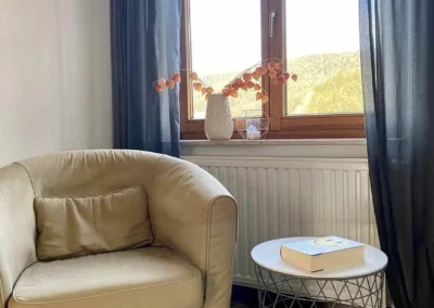 Gemütliche Leseecke in der Ferienwohnung Bergsee im Schwarzwald mit Sessel, Lampe und Beistelltisch.