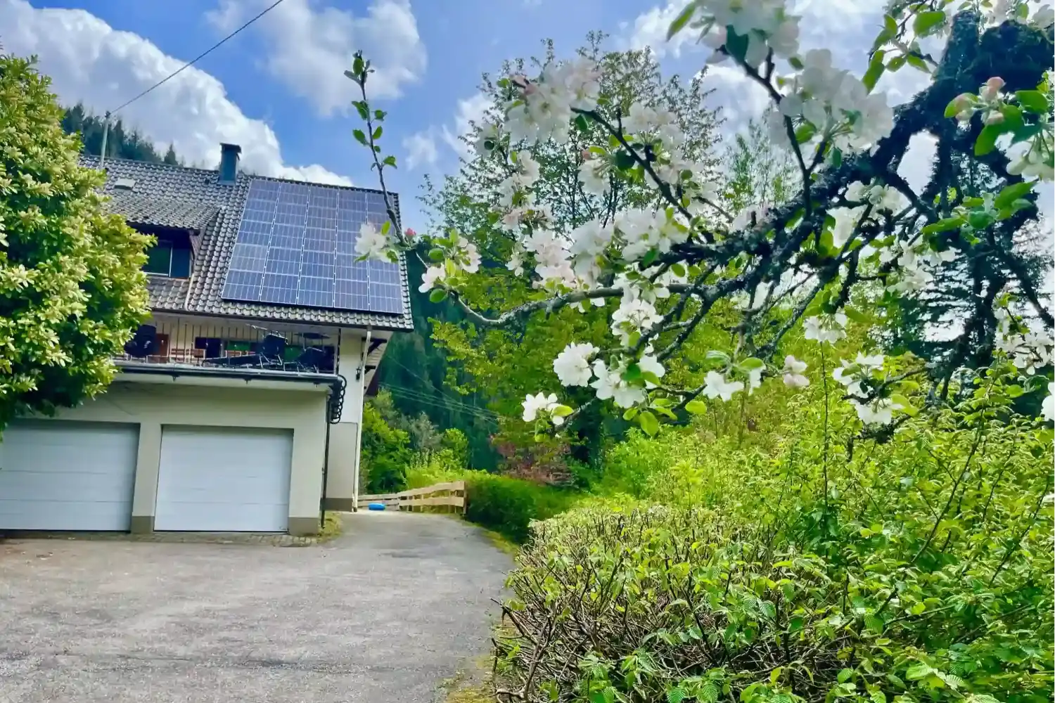 Einfahrt zum Ferienhaus Hof Busems mit blühendem Apfelzweig, Solaranlage auf dem Dach und viel grüner Natur im Schwarzwald.