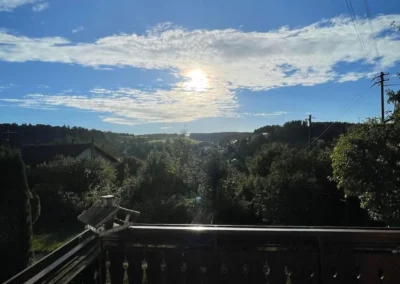 Aussicht vom Balkon des Ferienhauses Tanne und Tal Relax über die Natur des Schwarzwalds.