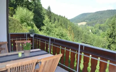 Schwarzwald zu jeder Jahreszeit: Warum die Region immer eine Reise wert ist