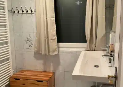 Badezimmer mit Waschbecken und Fenster im Ferienhaus Tanne und Tal Relax der Schwarzwald-Lounge