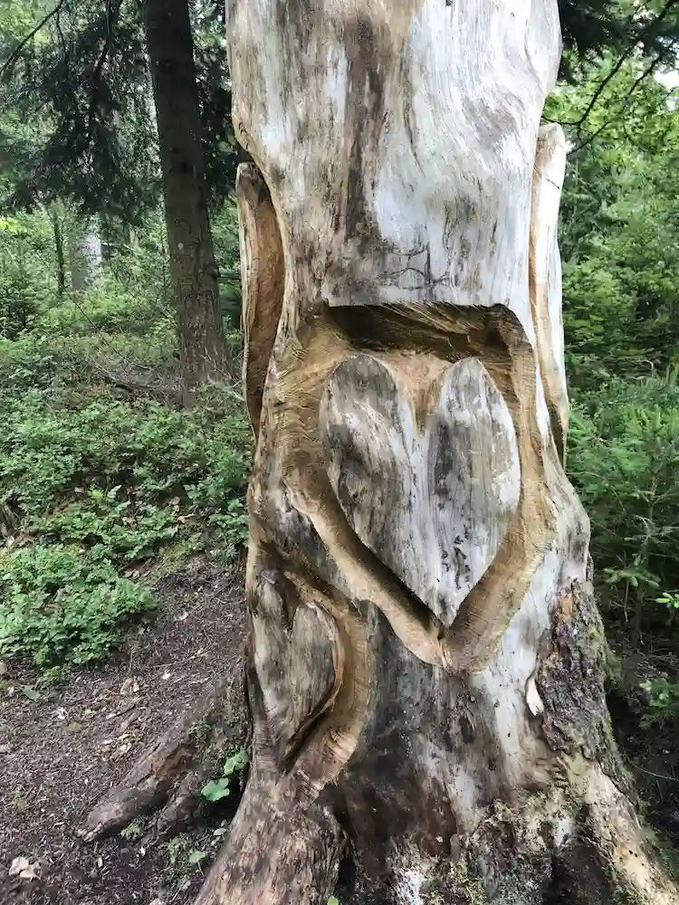 Holzskulptur mit Herzmotiv im Barfußpark Hallwangen