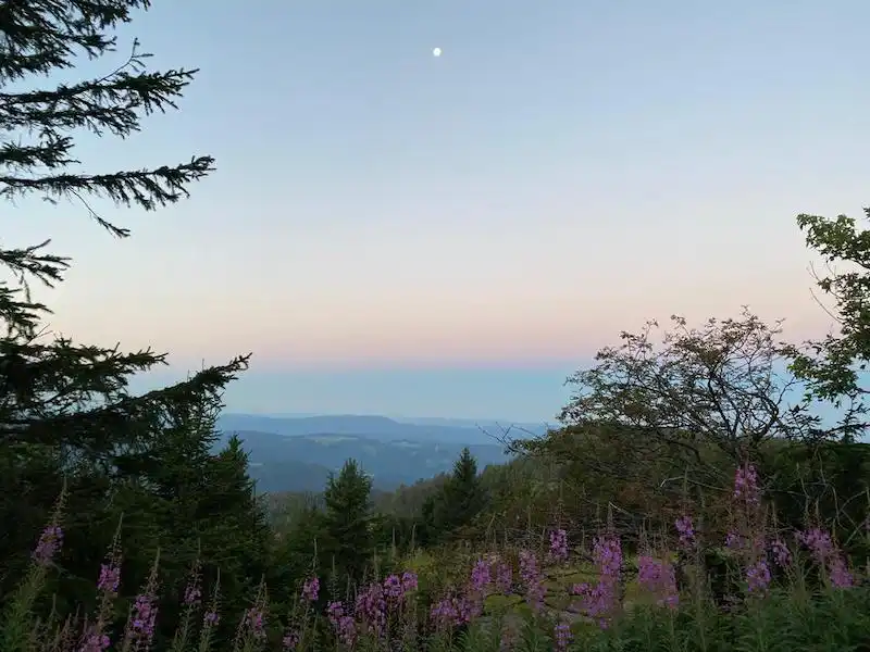 Panoramablick über die Berge des Schwarzwalds bei Sonnenuntergang an der Schwarzwaldhochstraße