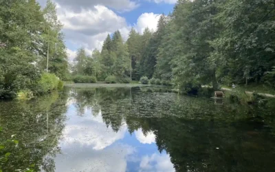 Das Zauberland in Loßburg