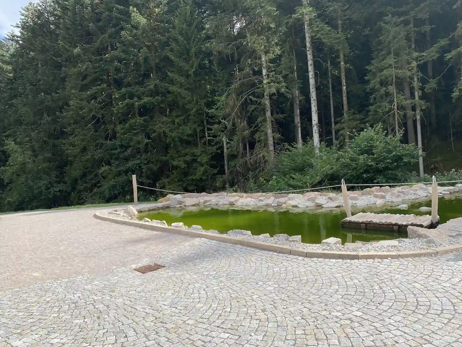 Naturteich im Zauberland Loßburg umgeben von Schwarzwaldwald