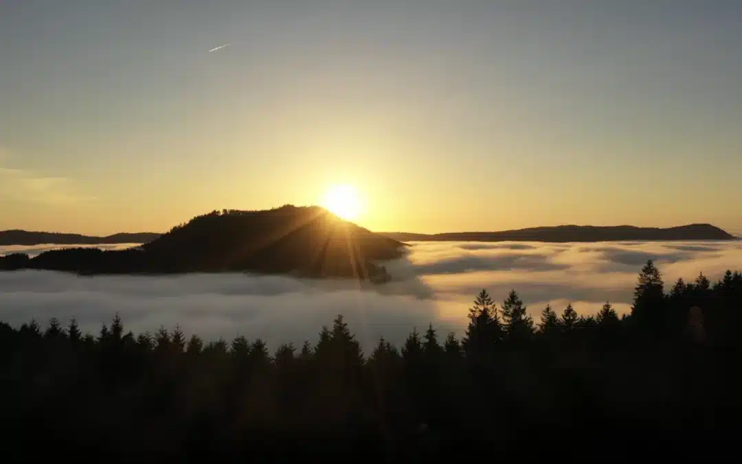 Kurzurlaub Schwarzwald