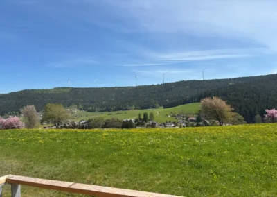 Aussicht vom Ferienhaus Baiersbronn Weitblick auf grüne Wiesen und Schwarzwaldberge