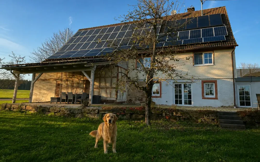 Urlaub mit Hund im Schwarzwald | Schwarzwald-Lounge