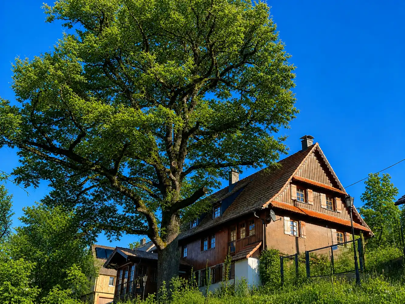 Schwarzwaldhaus Bei der Eiche Außenansicht des Ferienhauses Refugium am Ursprung mit großem Baum und Garten