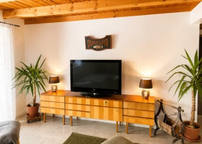 Wohnzimmerbereich mit TV, Holzkommode und Pflanzen im Refugium am Ursprung