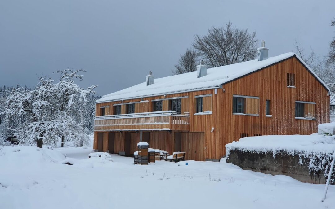 Weihnachten im Schwarzwald